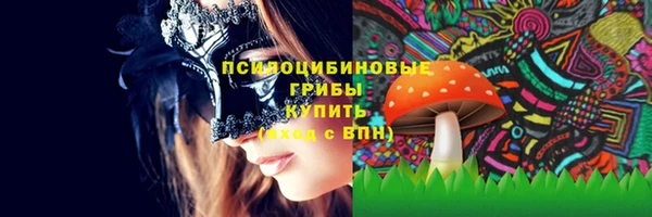 шишки Алексин