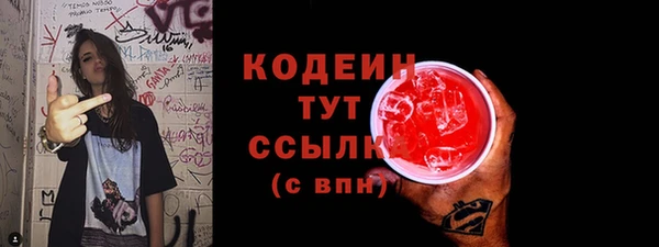 шишки Алексин