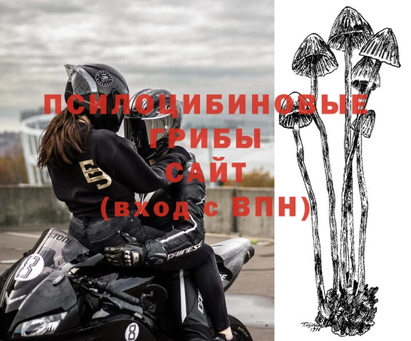 а пвп мука Алзамай