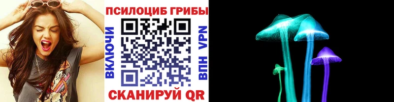 Псилоцибиновые грибы мухоморы  Сочи 